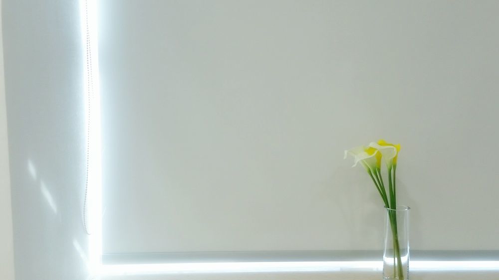 Minimal Culture Hotel 3*